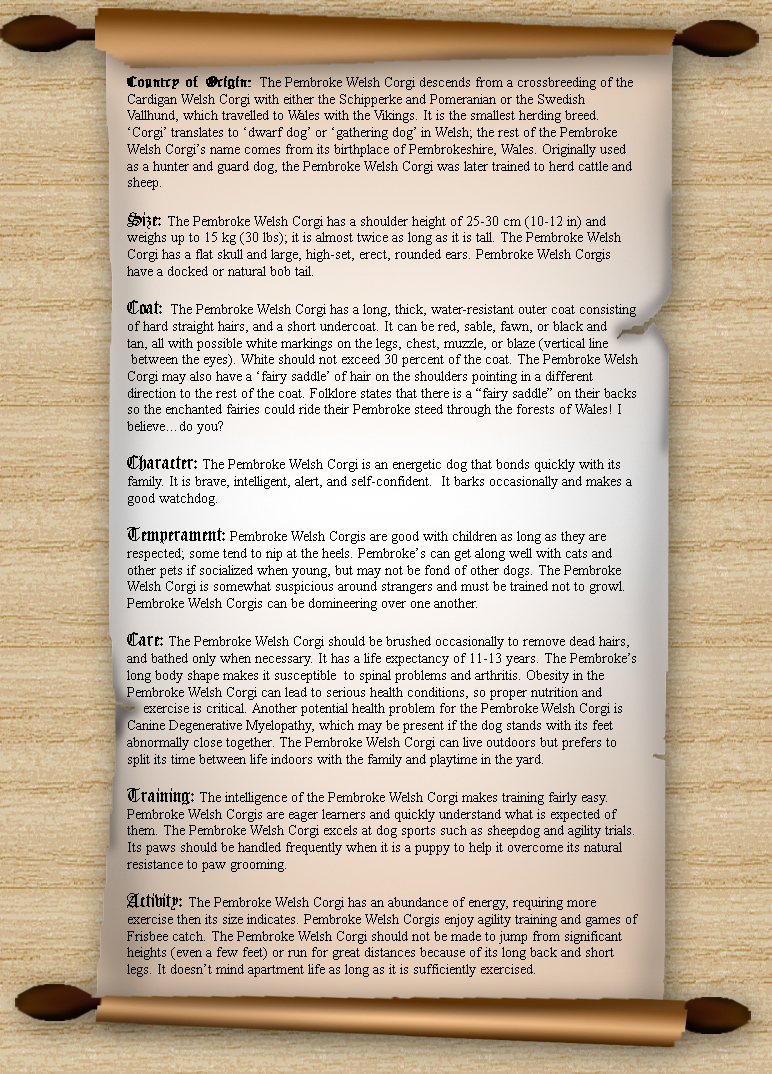 Corgis scroll with history