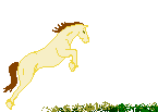 horses