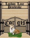 Corgis